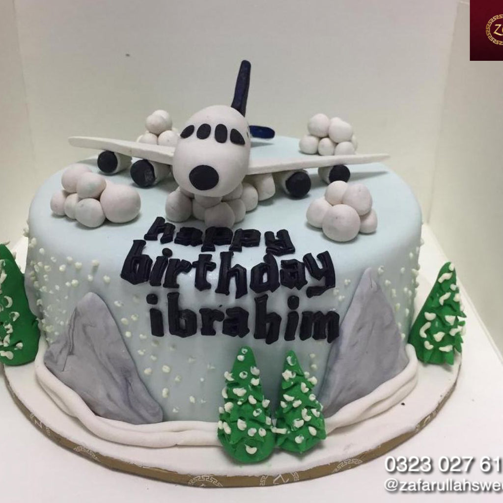 Cake with plane 2